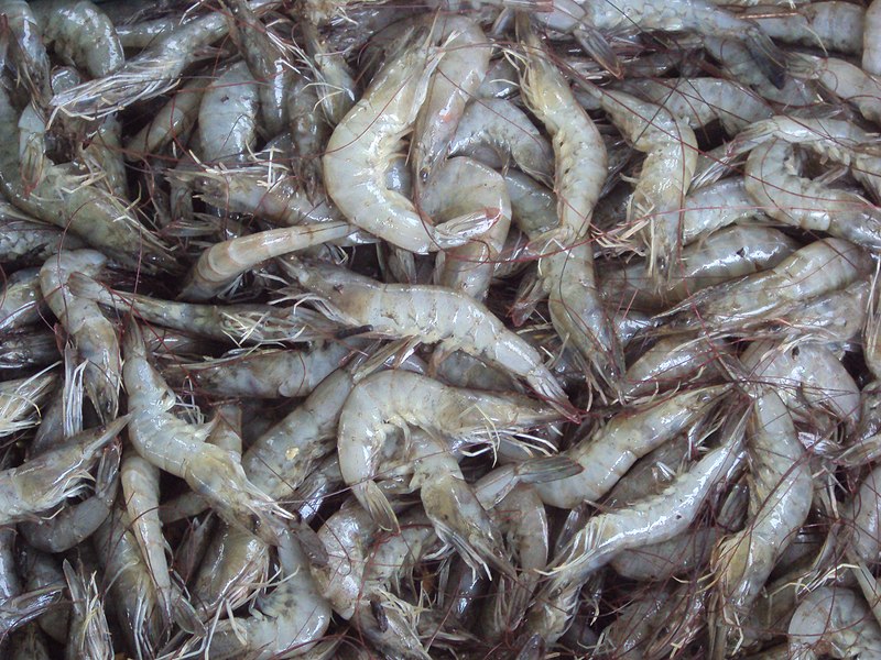 File:Camarones.JPG