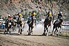 Alice Springs Camel Cup