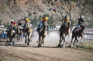 alice springs tourist bureau