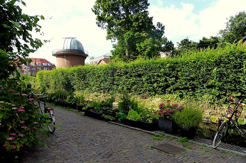File:Canalside gardening, 5e Binnenvestgracht (19424680859).jpg
