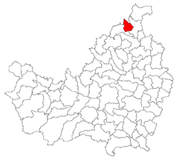 Câțcău - Carte