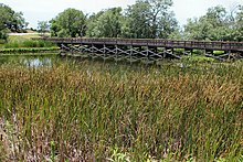 Cedar Hill State Park Cedar hill state park perch pond.jpg