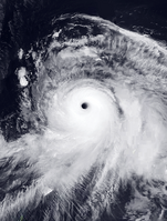 พายุไต้ฝุ่นชบา (พ.ศ. 2547) ขณะมีกำลังแรงสูงสุดเมื่อวันที่ 24 สิงหาคม พ.ศ. 2547