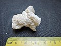 Chalcedony, milky quartz - SiO2 geode (44066177122).jpg
