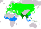 Aire de répartition du Petit Gravelot