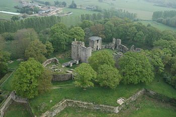 Vue aérienne d'un château fort au milieu d'un bosquet.