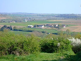 Chaume (AOC) makalesinin açıklayıcı görüntüsü