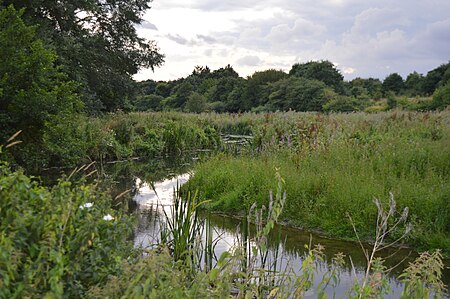 Chelmer Valley Riverside 10