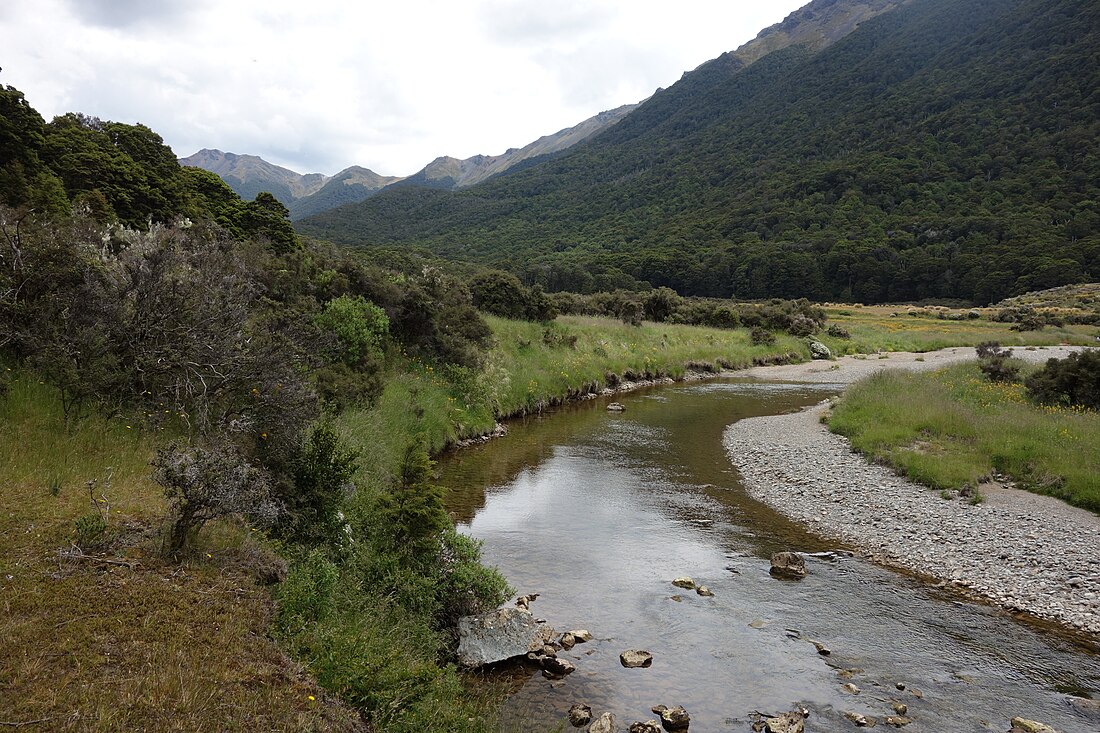 Cobb River (New Zealand)