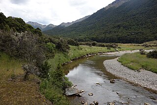 <span class="mw-page-title-main">Cobb River (New Zealand)</span> River in Tasman District, New Zealand