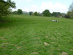 Cooksbridge Meadow (4).jpg