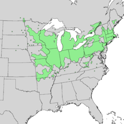 Distribución natural de Cornus racemosa