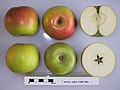 Cross section of Batul-Alma, National Fruit Collection (acc. 1948-353).jpg