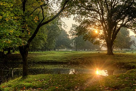 Wildpark, Dülmen, North Rhine-Westphalia, Germany