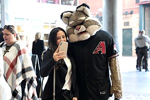 List Of Major League Baseball Mascots