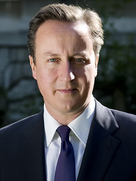 Prime Minister David Cameron pictured in 2010