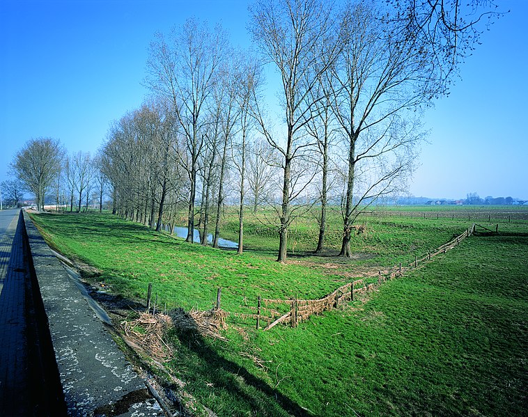 File:De uiterwaarden van de Maas - 369673 - onroerenderfgoed.jpg