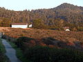 Dickerman Barn