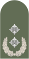 Oberstleutnant