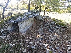 Immagine illustrativa dell'articolo Dolmens du Verdier