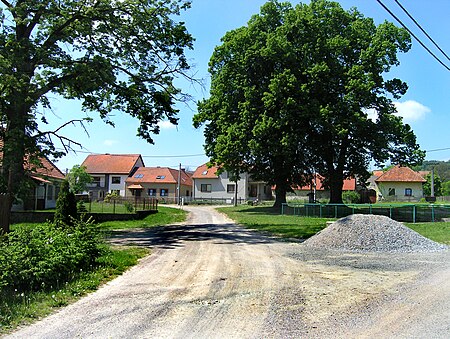 Dolní Loučky, Střemchoví, common