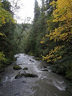 Dungeness River river in Washington State, United States of America