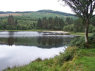 <span class="mw-page-title-main">Bishop's Glen Reservoir</span> Reservoir in Dunoon, Scotland