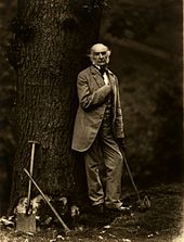 Prime Minister William Ewart Gladstone cultivated the public image as a man of the people by circulating pictures like this of himself cutting down oak trees with an axe. Photo by Elliott & Fry Elliott & Fry10a.jpg