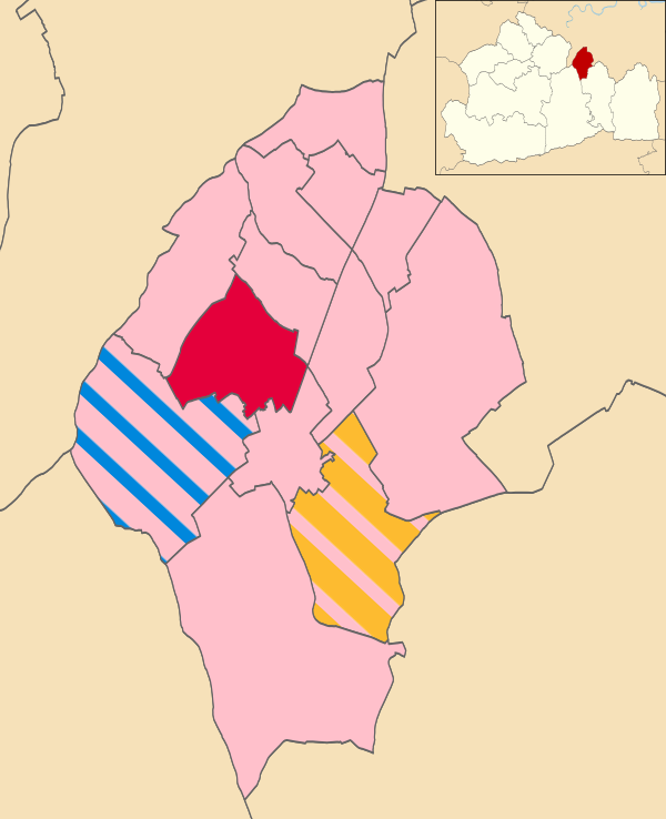 Map of the results of the 2019 Epsom and Ewell Borough Council election. RAEE in pink, Labour in red, Liberal Democrats in orange, and Conservatives in blue.