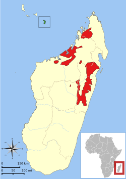 Eulemur fulvus range map.svg