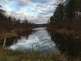 Пруд Фэйрфакс-Рехе WMA - Wetlands.jpg