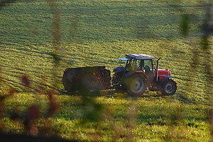 Contaminación Del Suelo: Causas de la contaminación del suelo, Efectos de la contaminación del suelo, Consecuencias