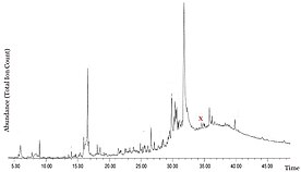 Total ion chromatogram of amber sample from Ipubi Formation. The ferruginol peak is marked with a red X. Modified from. Ferruginol case study- edited (1).jpg