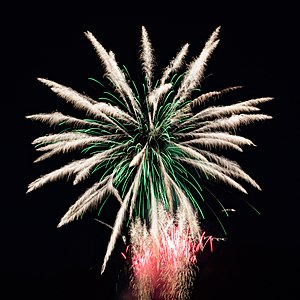 Feu d'artifice - 287.jpg