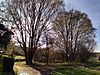 Wetland with pastures Weinstadt.jpg