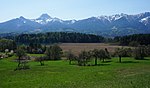 Finkensteiner Moor, Villach Land District, Carinthia.jpg