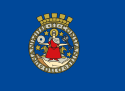 Vlag van Oslo