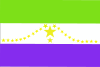 Bandeira de Usulután
