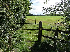 Footpath to Scruton - geograph.org.uk - 2030852.jpg