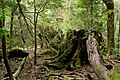 楠川歩道の森