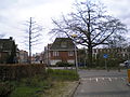 Fredinand Bolstraat met achteraan de Adriaen van Ostadelaan gezien vanaf het Diakonessenhuis