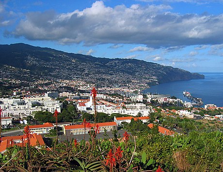 Madeira adaları