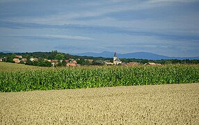 Paysage du Sundgau, autour de Galfingue au centre-sud (au fond, la Forêt-Noire).