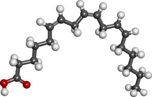 Gamma linolenic acid.png