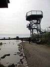 George C. Reifel Migratory Bird Sanctuary