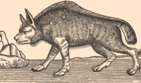 Tengeri farkas Conrad Gessner, Historiae animalium (négylábúak, Zürich 1551) című művéből. A korabeli hiedelmek szerint egyaránt élt a tengerben és a szárazföldön.