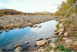 Řeka Agua Fria v Gillett, Arizona