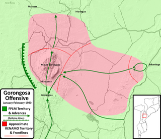 <span class="mw-page-title-main">Gorongosa Offensive</span> Military operation by Mozambique