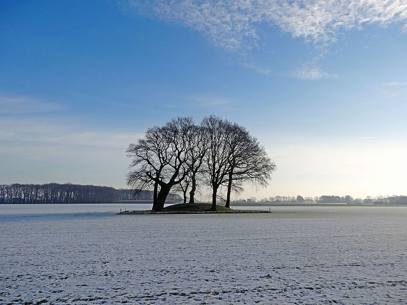 File:Grafheuvel tussen Borger en Drouwen3.jpg