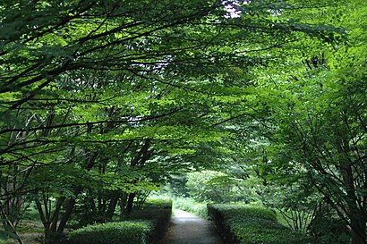 北の丸公園への交通機関を使った移動方法